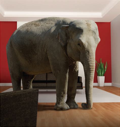 Recognizing the Elephant in the Room