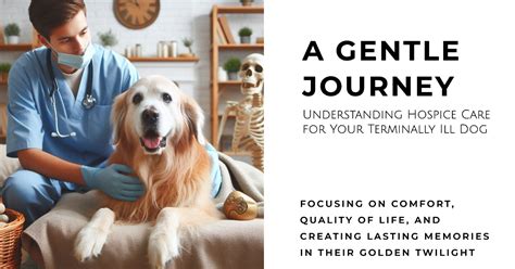 Recognizing the Signs of a Terminally Ill Dog