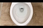 Recurring Toilet Ring