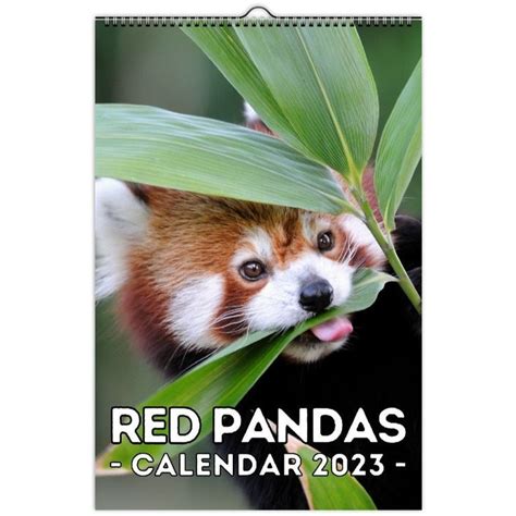 Red Panda Calendar