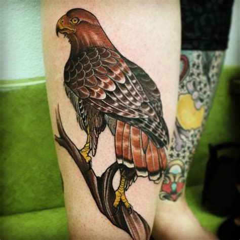 Red Tail Hawk Tattoos