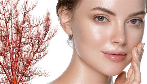 Unlock the Secret of Red Algae: Reveal Radiant Skin with its Power-Packed Benefits!