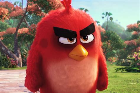 Red Angry Bird Eye Coor