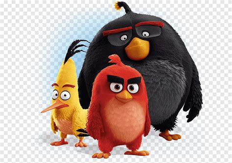 Red Black Yellow Blue Angry Birds Cartoon