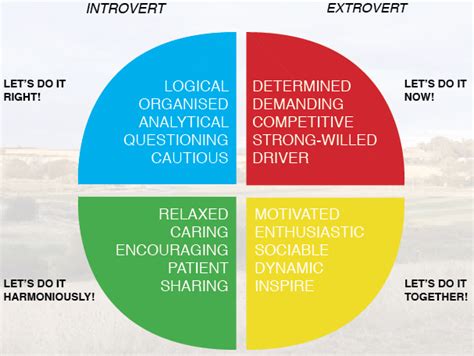 Red Blue Green Yellow Personality Test Work