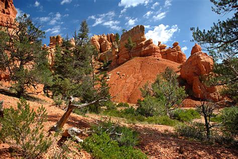Red Canyon Landscape