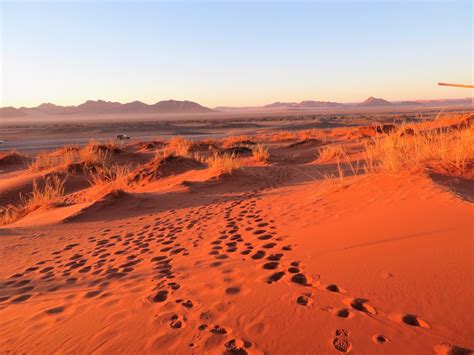 Red Dunes Adventure Planning