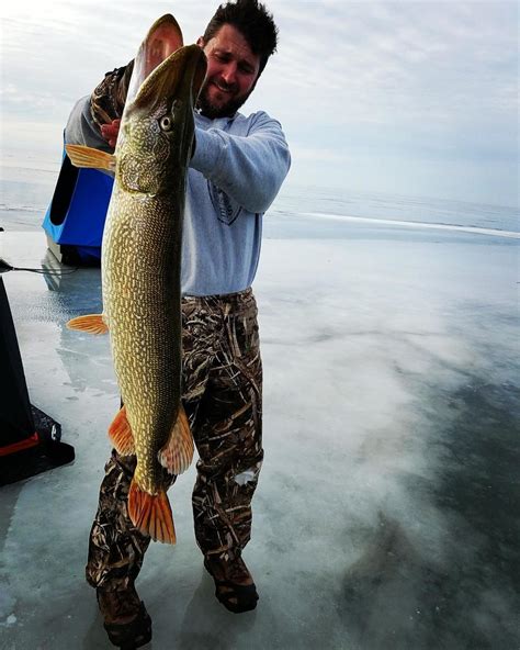 Red Lake MN Fishing Report
