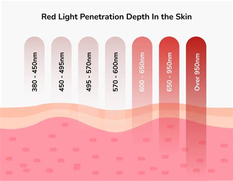 Red Light Therapy and Parasites