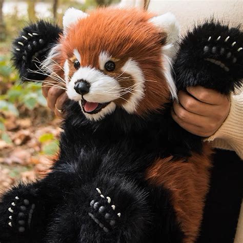 Here are five possible SEO titles about a Red Panda Stuffed Animal:1. Huggable and cuddly! Get your own Red Panda Stuffed Animal today.2. Meet the cutest stuffed animal out there: the Red Panda plushie.3. Adorable Red Panda stuffed toys for kids and adults alike!4. Bring home the charm of the Himalayas with a Red Panda stuffed animal.5. Looking for a unique gift? Give a Red Panda stuffed animal to your loved ones.