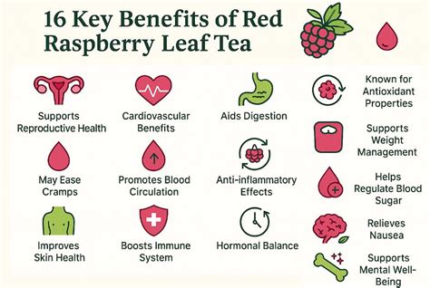 Red Raspberry Leaf Tea: Health Boosters Revealed.