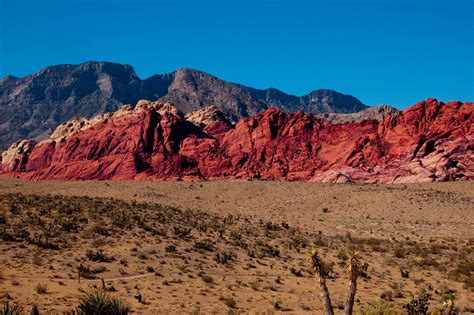Red Rock Canyon Landscape