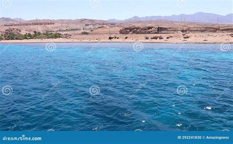 Red Sea Cruise