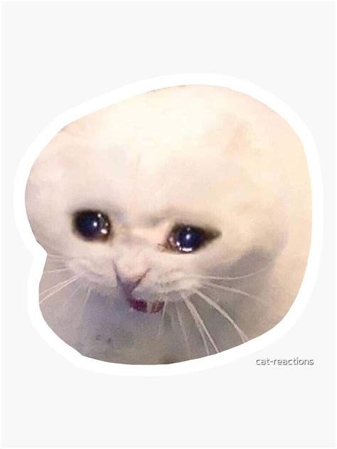 Redbubble Crying Cat Meme