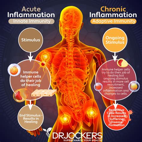 Reduced Inflammation