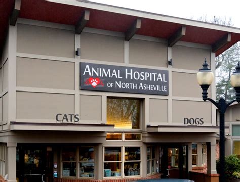 Exceptional Pet Care at Redwood Animal Hospital in Asheville North Carolina - Book an Appointment Today!
