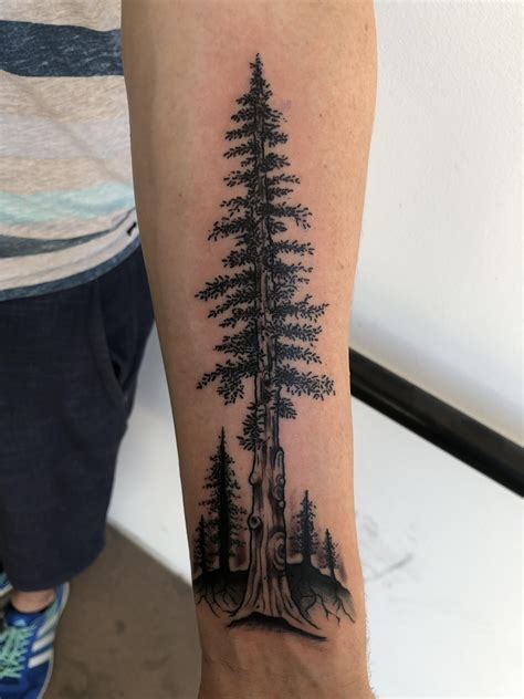 44 best images about Redwood Tree tattoos and drawings on