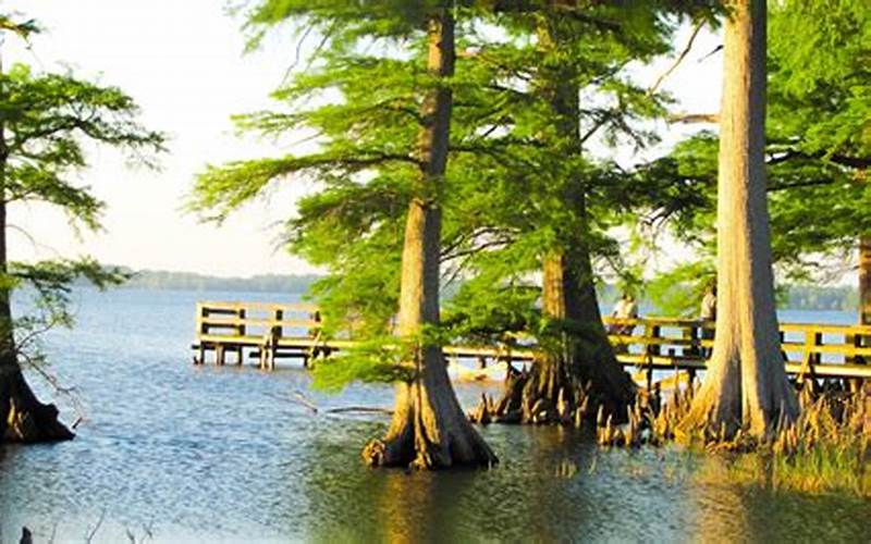 Why Can’t You Swim in Reelfoot Lake?