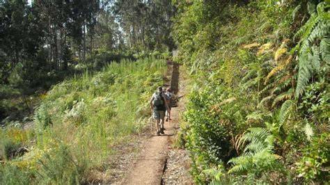 Referta Levada Starting Point