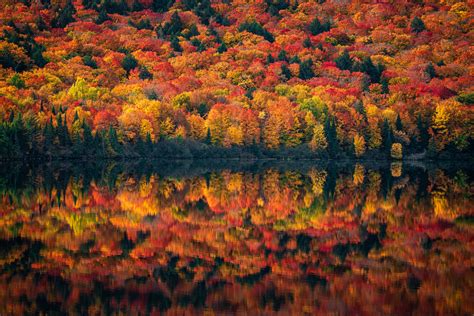 Reflecting Your Fall Theme