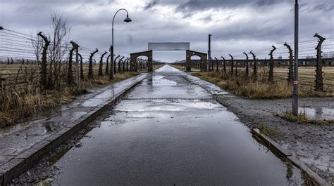 Reflection at Auschwitz Memorial