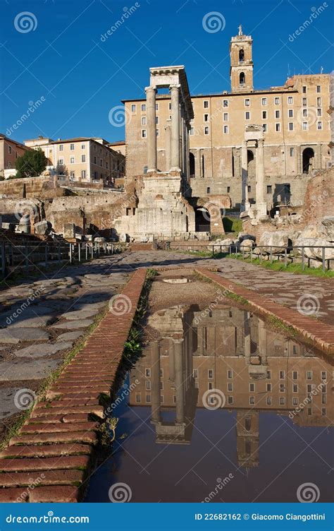 Reflections Roman Forum