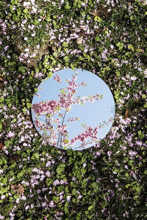 Reflections in Nature