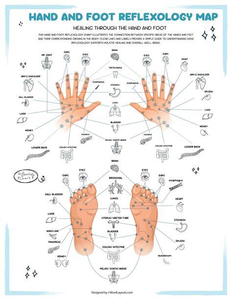 Reflexology Chart For Inducing Labor