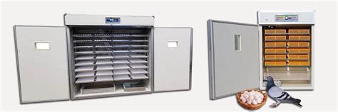 Regulating Temperature and Humidity in Pigeon Breeding