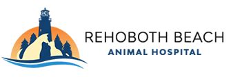 Leading Veterinary Care at Rehoboth Beach Animal Hospital for Happy and Healthy Pets