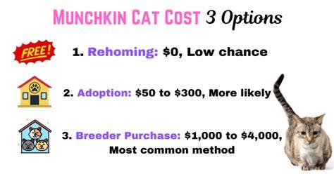 Rehoming Options