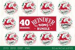 Download Reindeer Names Bundle 40 Designs SVG Easy Edite