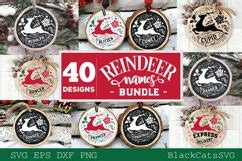 Download Reindeer Names Bundle 40 Designs SVG Printable
