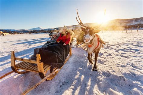 Reindeer Sledding Experience