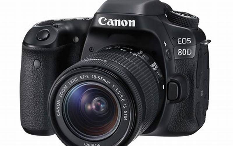 Rekomendasi Kamera Dslr Canon Pemula