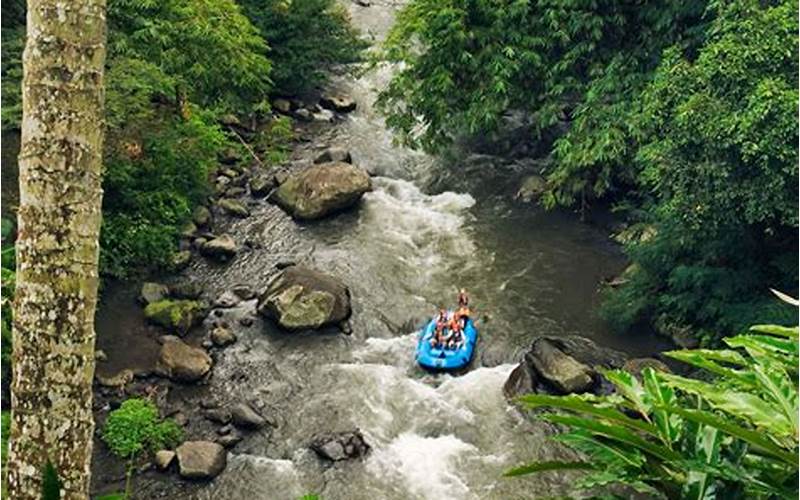 Rekomendasi Tempat Menarik Di Sekitar Sungai Ayung Ubud
