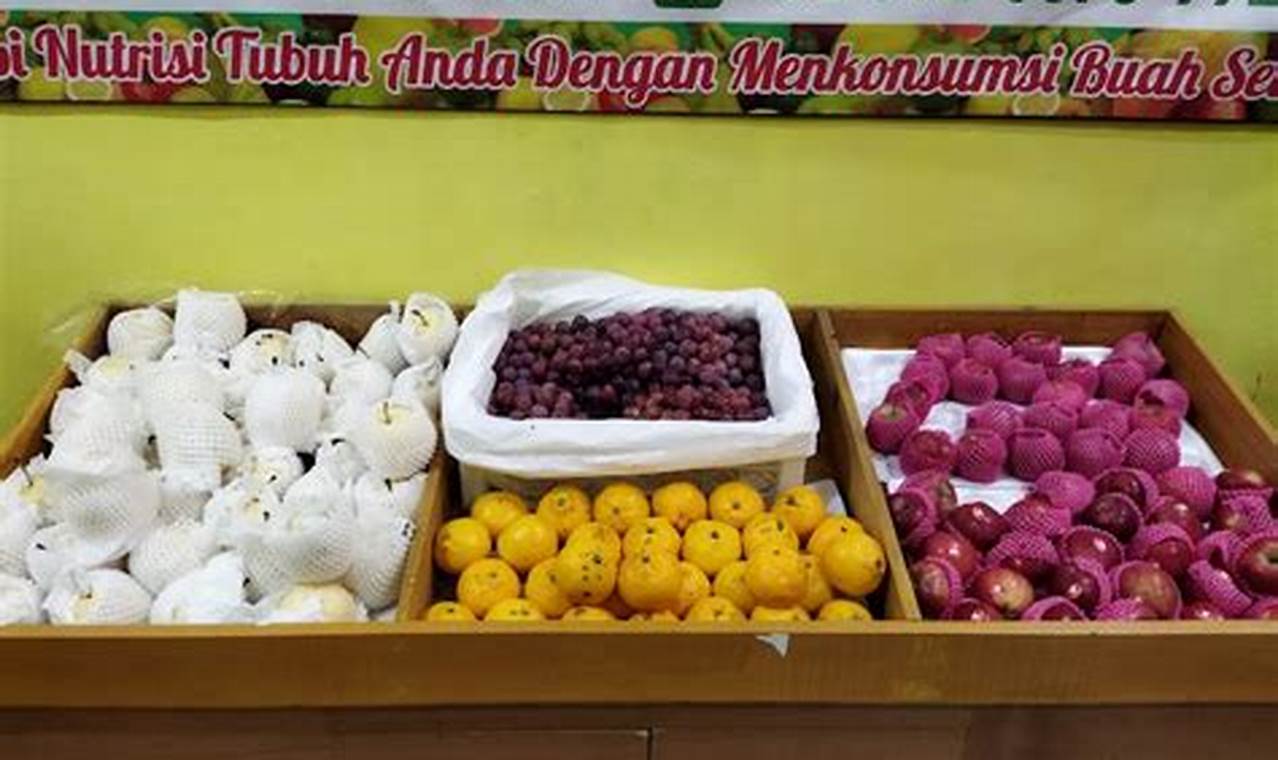 Rekomendasi distributor buah import jember