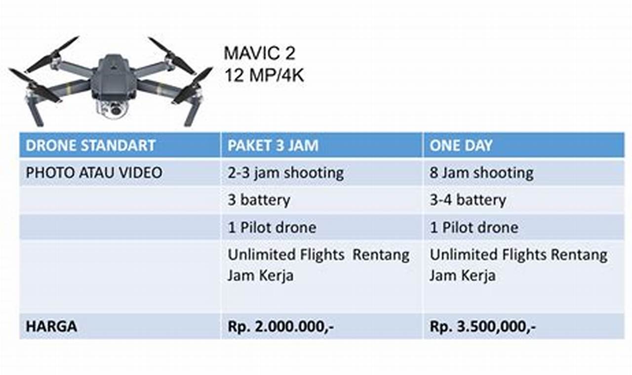 Rekomendasi harga sewa drone dan pilot