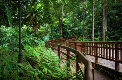 Rekreasi di Hutan di Singapura