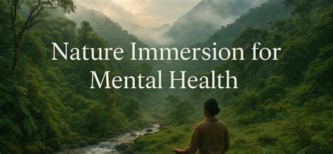 Relaxation & Nature Immersion