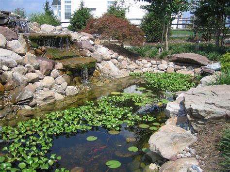 Relaxing Backyard Pond with a Silo Structure