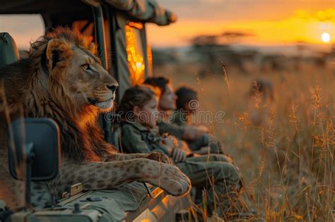 Relaxing Safari Experience