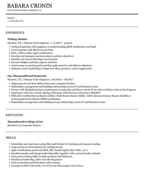 Project Lead /Scrum Master /Release Train Engineer Resume
