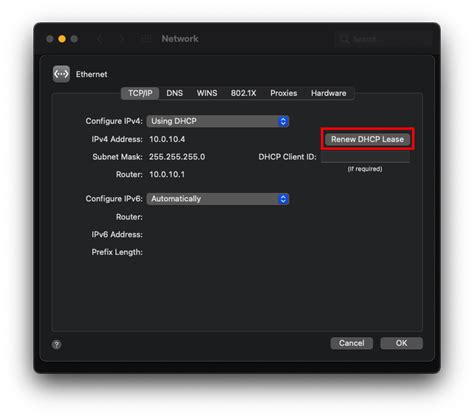 Release &amp; Renew IP Address On Mac