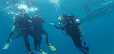 Remarkable Scuba Trip
