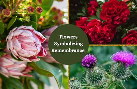 Remembrance