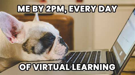 Remote Learning Funny School Memes 2020