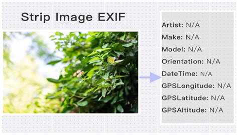 Remove EXIF Data From Images to Improve Privacy