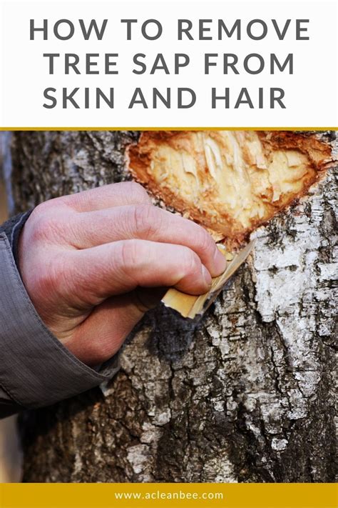 Eliminating Stubborn Sap Stains: Top Tips for Effortlessly Removing Sap from Your Skin!