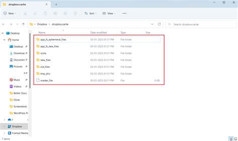 Remove The Dropbox Cache Files